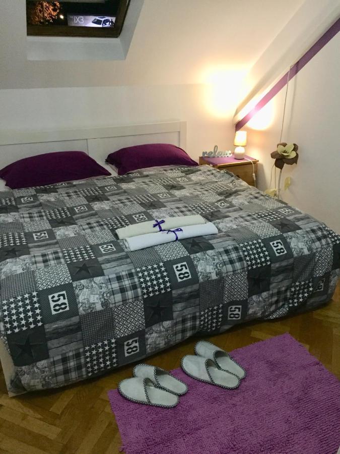 Hostel Lega House 오시예크 외부 사진